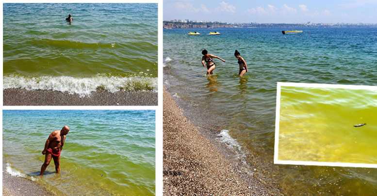 Deniz yeşile dönüştü
