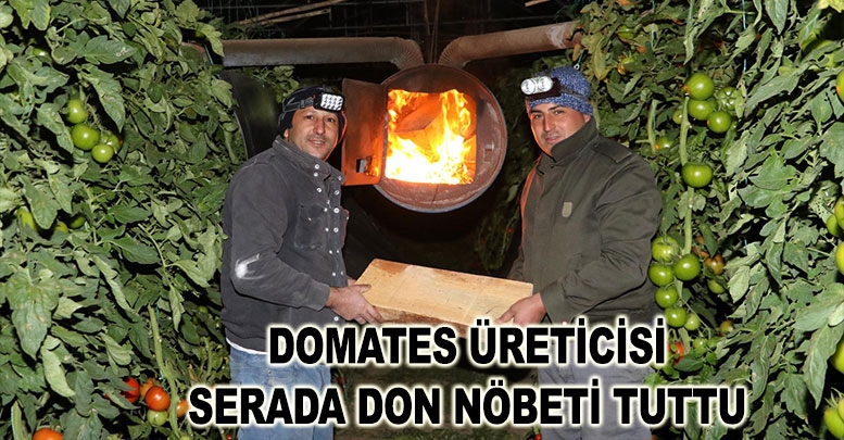 Domates üreticisi serada don nöbeti tuttu