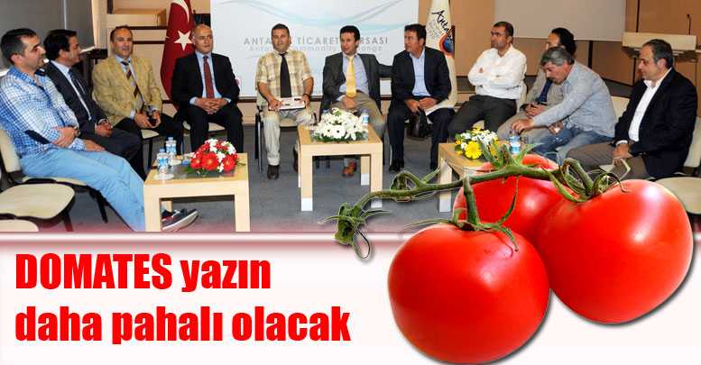 DOMATES yazın daha pahalı olacak