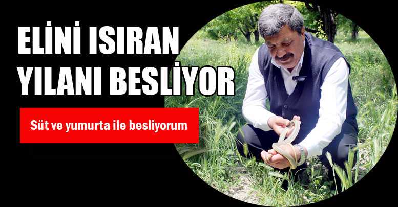 ELİNİ ISIRAN YILANI BESLİYOR