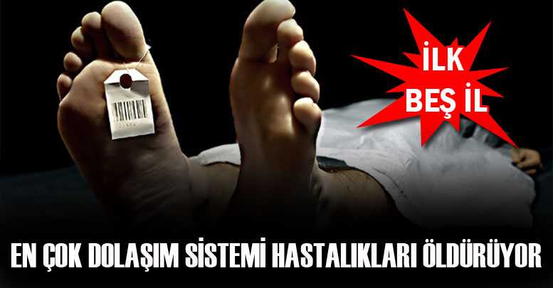 En çok dolaşım sistemi hastalıkları öldürüyor