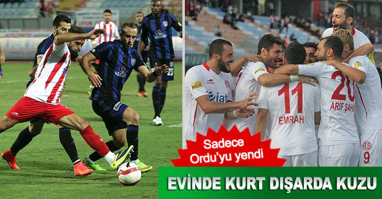 Evinde kurt dışarda kuzu