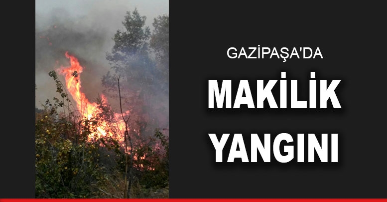 Gazipaşa'da makilik yangını