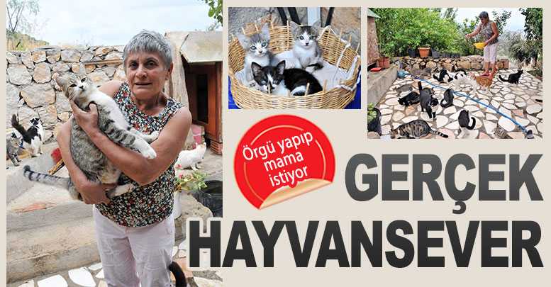 Gerçek hayvansever
