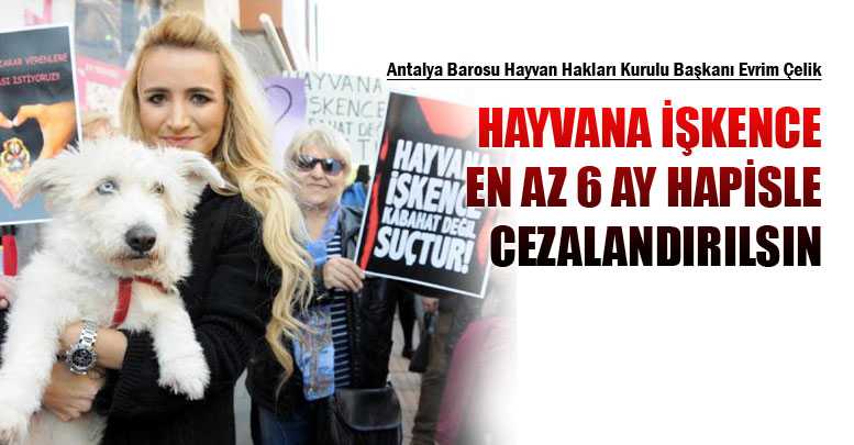 HAYVANA İŞKENCE EN AZ 6 AY HAPİSLE CEZALANDIRILSIN