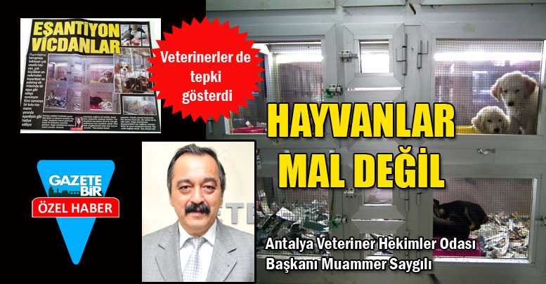 HAYVANLAR MAL DEĞİL