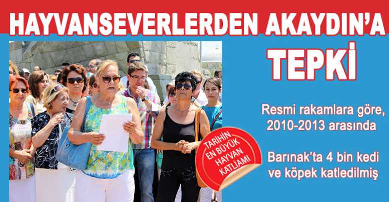 HAYVANSEVERLERDEN AKAYDIN’A TEPKİ