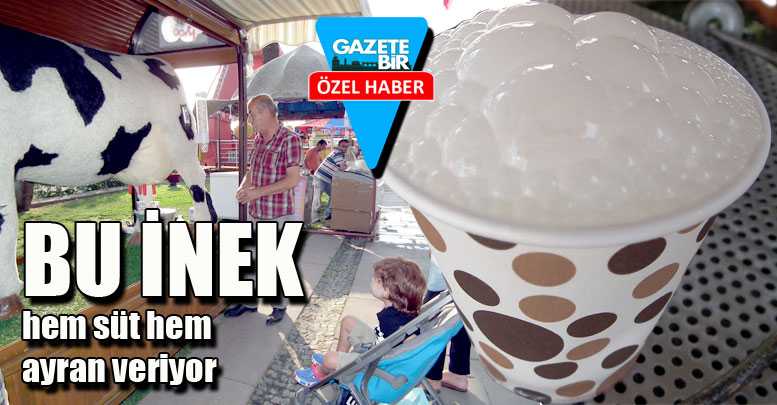 Hem süt hem ayran veriyor
