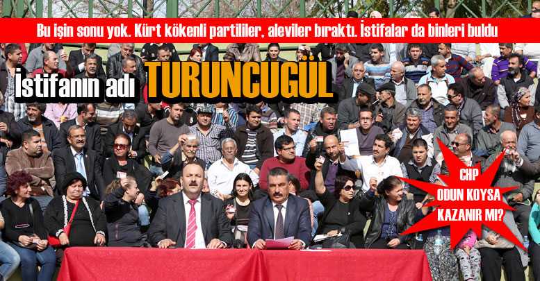 İstifanın adı TURUNCUGÜL