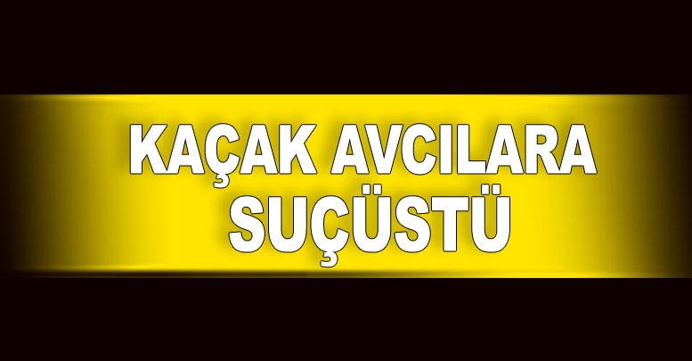 Kaçak avcılara suçüstü