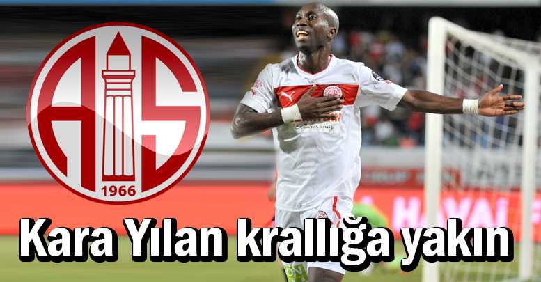 Kara Yılan krallığa yakın