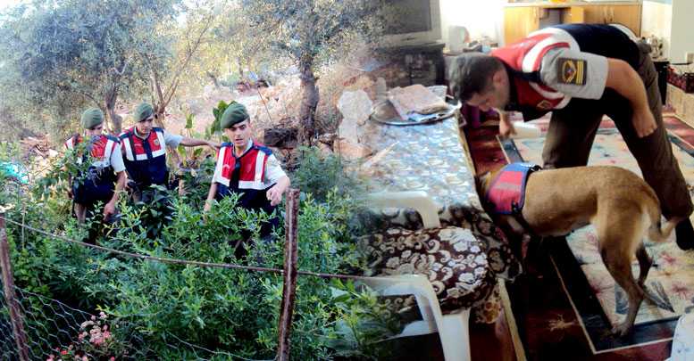 Kaş'ta zehir operasyonu