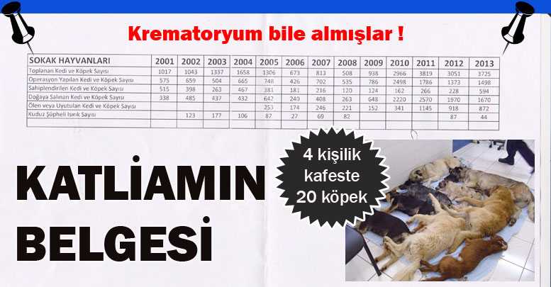 KATLİAMIN BELGESİ