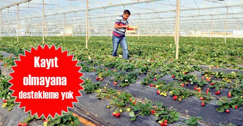 Kayıt olmayana destekleme yok