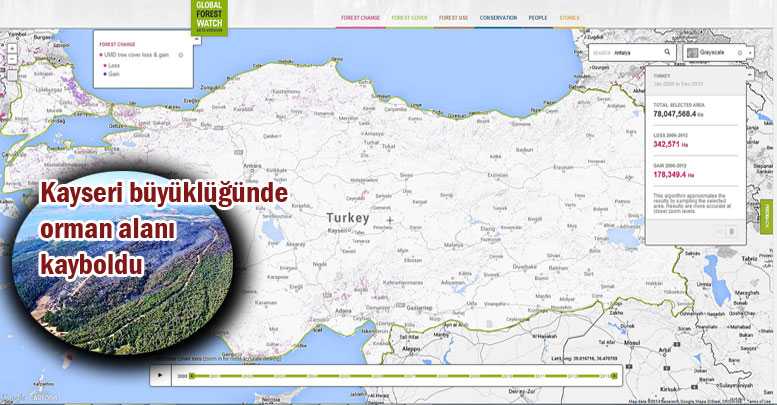 Kayseri büyüklüğünde ‘orman alanı’ kayboldu