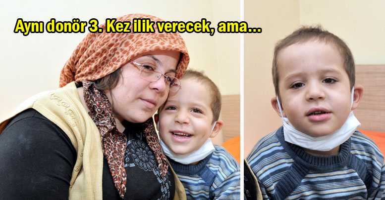 KEÇİLİ AİLESİ BİTİK DURUMDA