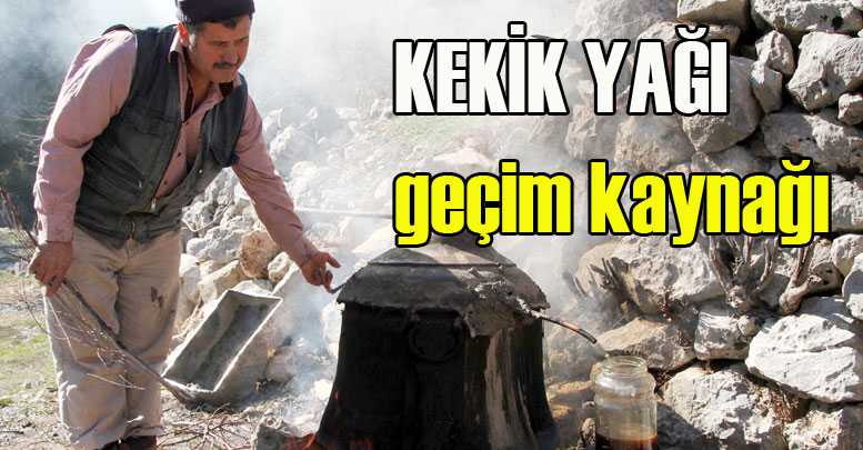 KEKİK YAĞI geçim kaynağı