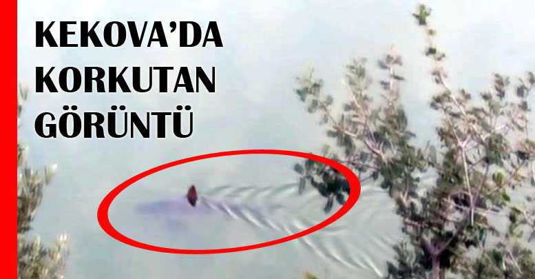 Kekova’da korkutan görüntü