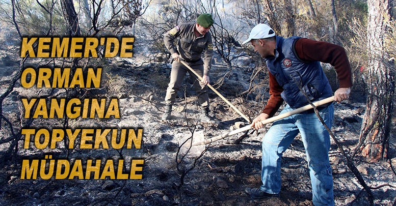 Kemer'de orman yangına topyekun müdahale