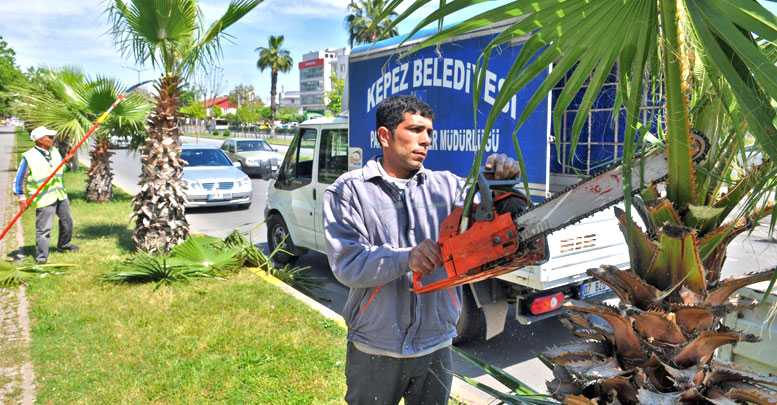Kepez yaza hazırlanıyor