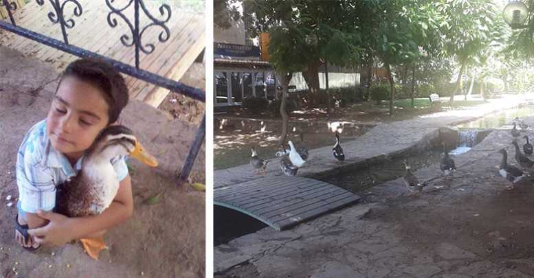 Kime ne zararları var