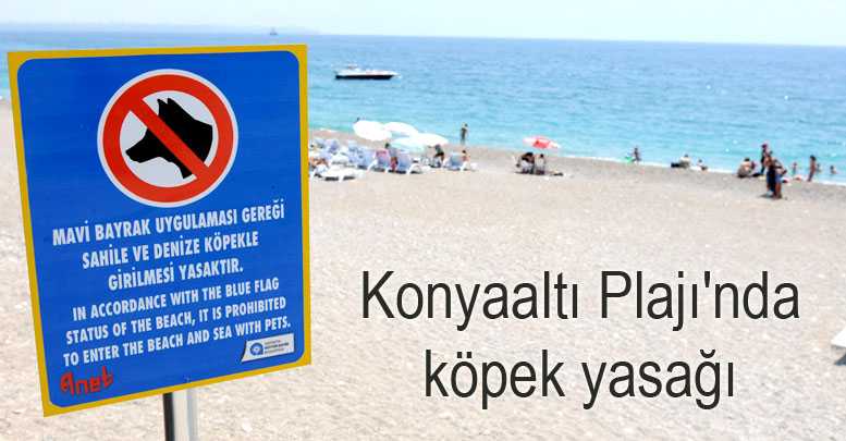Konyaaltı Plajı'nda köpek yasağı