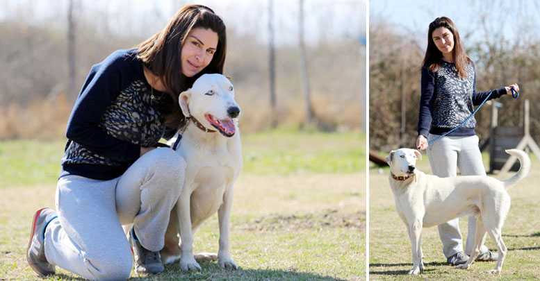 Köpeği haczettiler