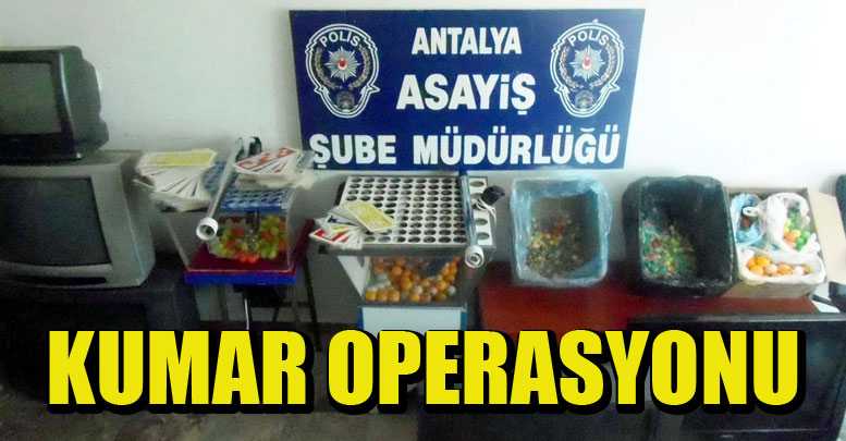 Kumar operasyonu