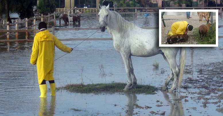 Manavgat’ta sel felaketi