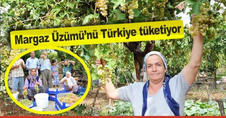 Margaz Üzümü’nü Türkiye tüketiyor
