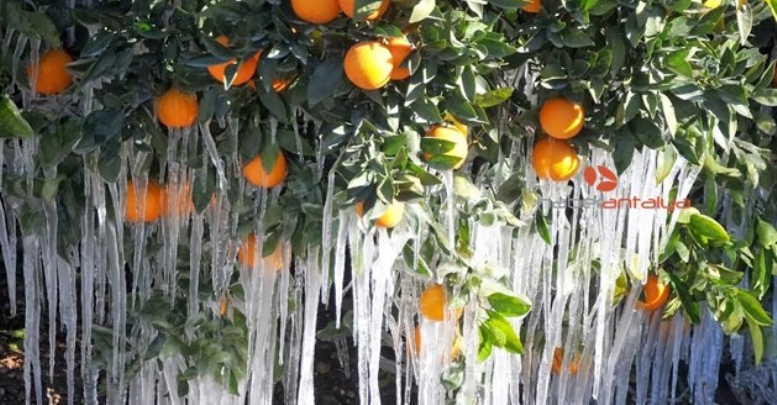 Meteorolojiden don uyarısı