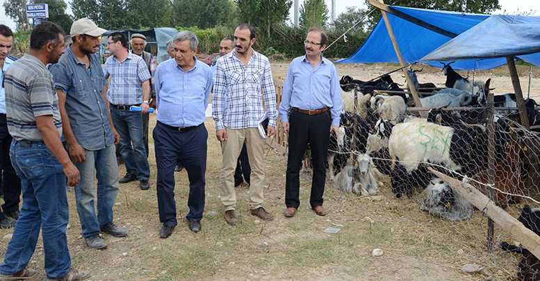Muratpaşa kurbana hazır