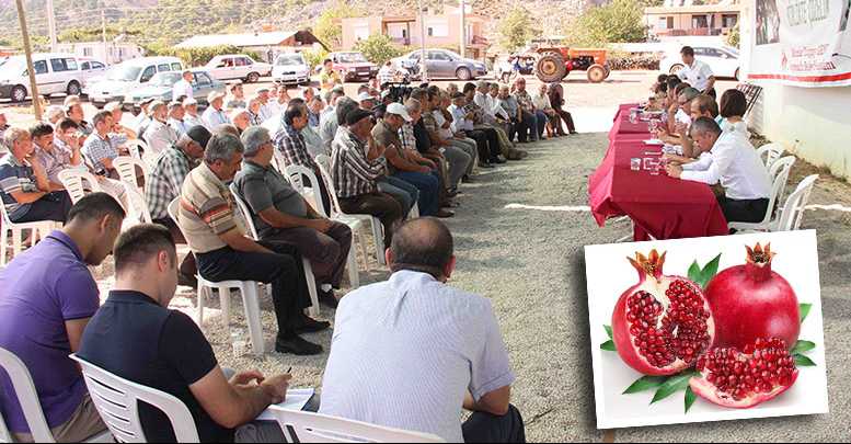 Nar marka olacak