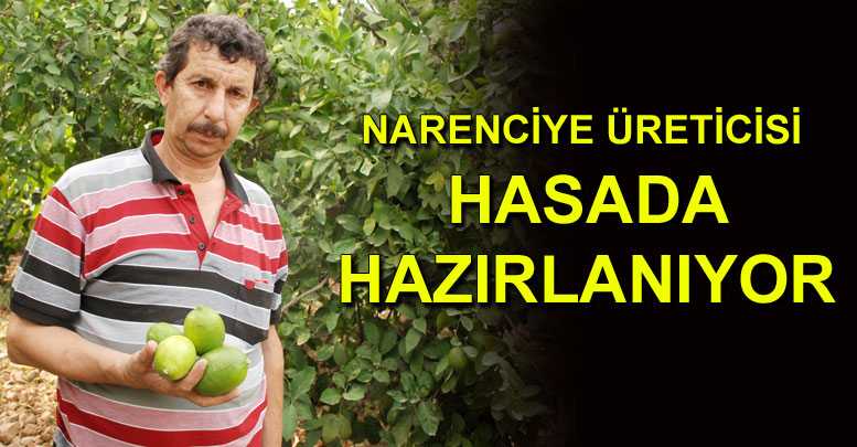 Narenciye üreticisi hasada hazırlanıyor