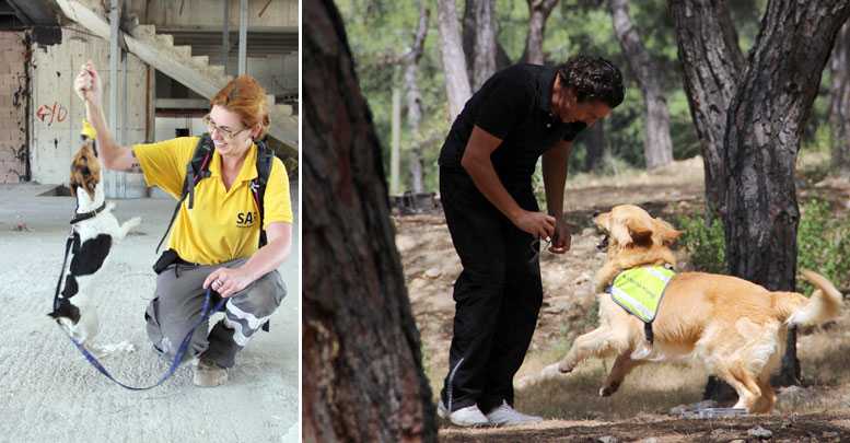 Onlar artık arama kurtarma köpeği