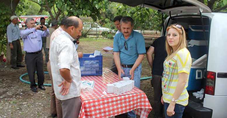 Organik tarımda böcekler işbaşında