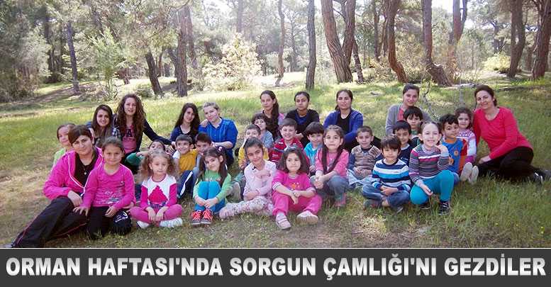 Orman Haftası'nda Sorgun Çamlığı'nı gezdiler