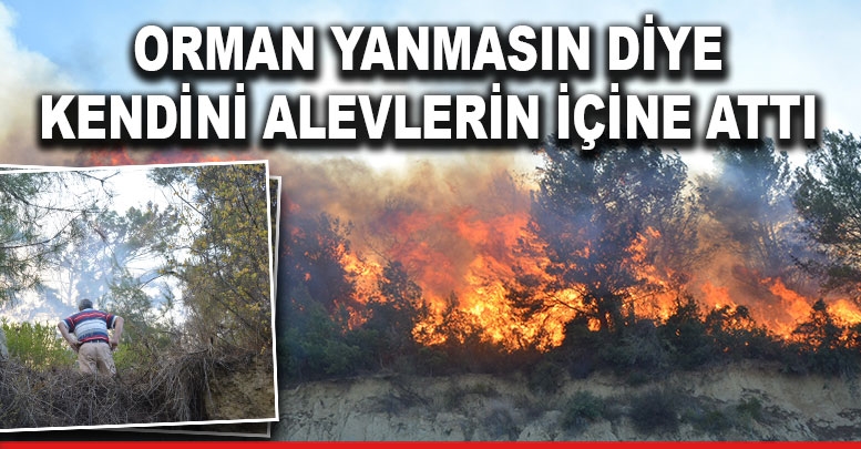 Orman yanmasın diye kendini alevlerin içine attı