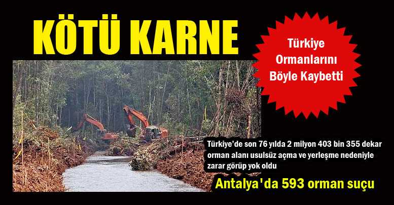 Ormana karşı işlenen suçlar karnesi ‘kötü’