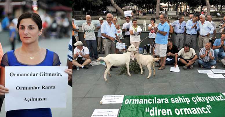 Ormancılardan ‘keçili’ eylem