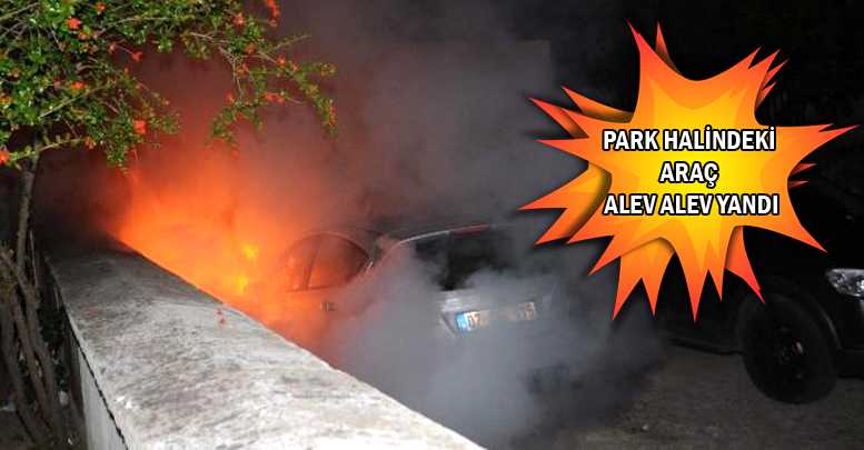 PARK HALİNDEKİ ARAÇ ALEV ALEV YANDI