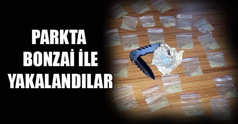 Parkta bonzai ile yakalandılar