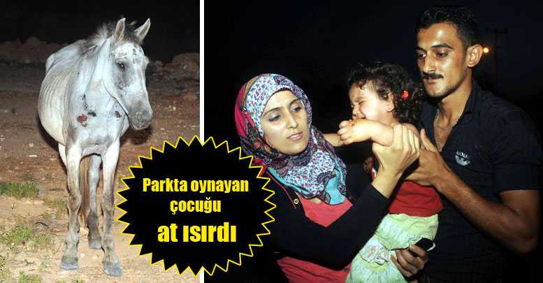Parkta oynayan çocuğu at ısırdı