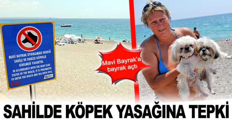 Sahilde köpek yasağına tepki