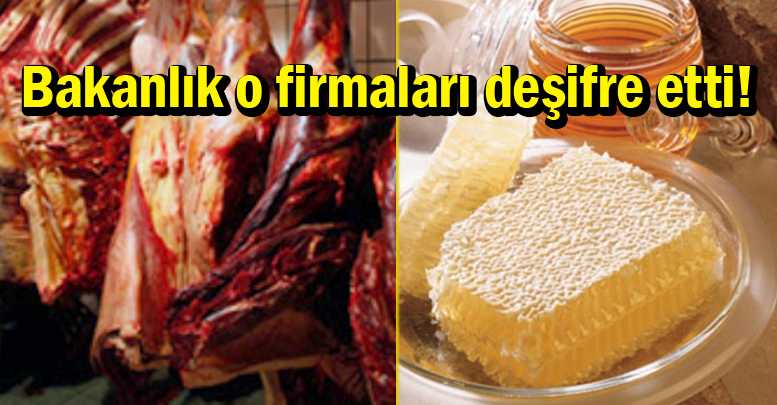 SAKINCALI FİRMALAR