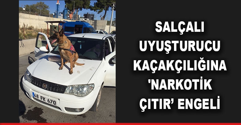 Salçalı uyuşturucu kaçakçılığına 'Narkotik Çıtır’ engeli