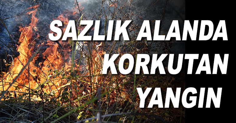 Sazlık alanda korkutan yangın