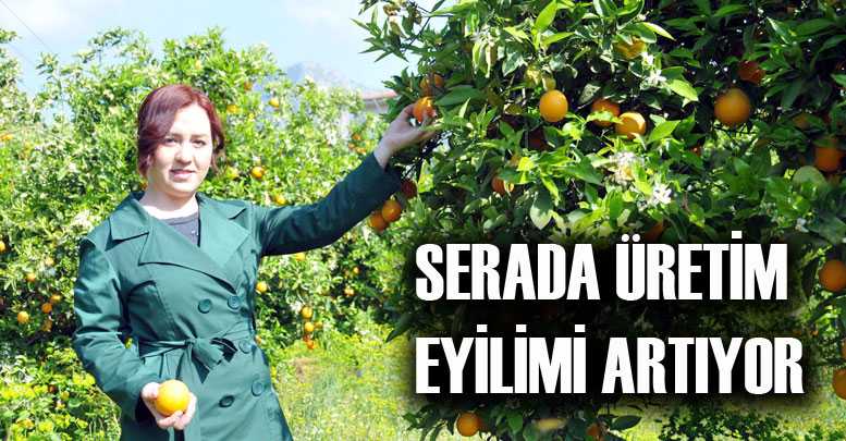 SERADA ÜRETİM EYİLİMİ ARTIYOR