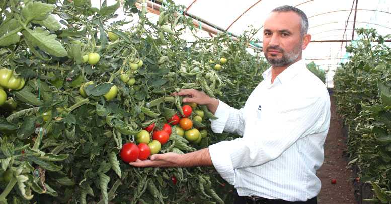 Serasını AR-GE tesisine dönüştürdü
