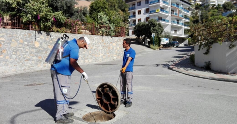 Sinekle mücadele hız kesmiyor